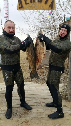 Трофеи марта 2016