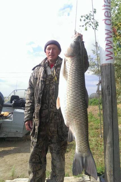 Открыт летний сезон