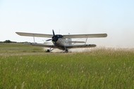 Ан -2