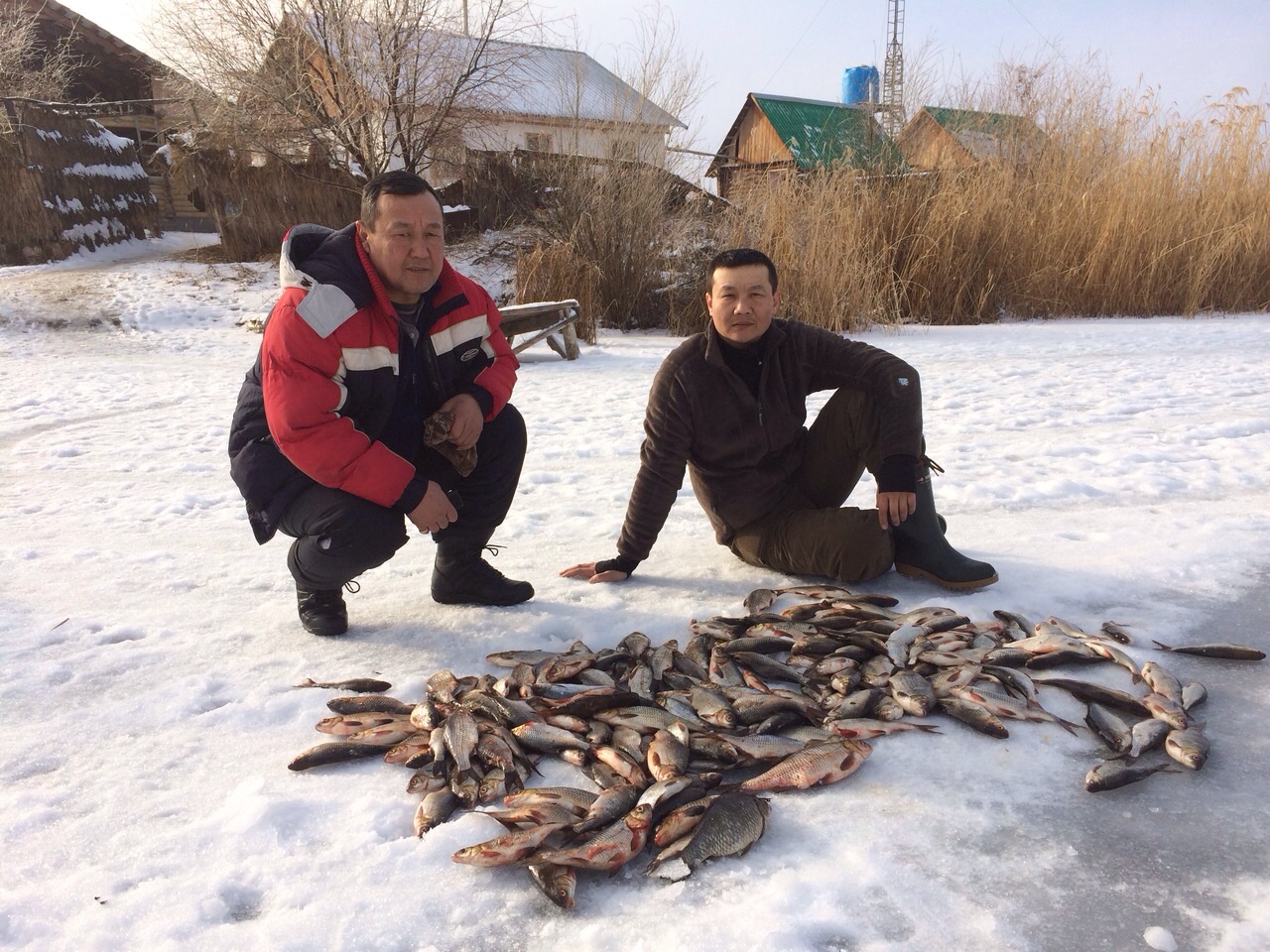 Новогодний улов