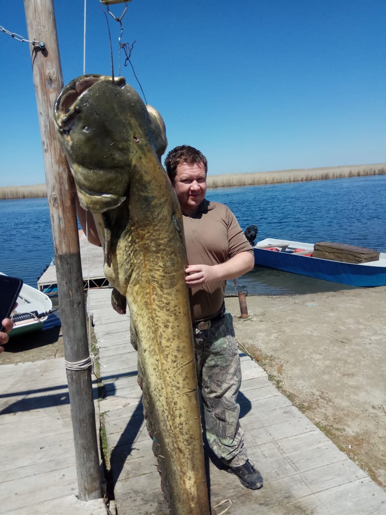 весна 2019 сом 75кг