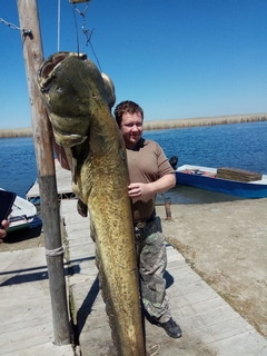 весна 2019 сом 75кг