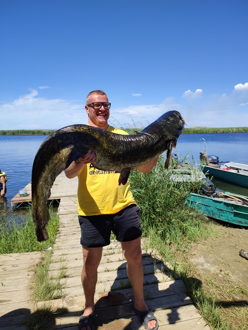 Сом июнь 2022