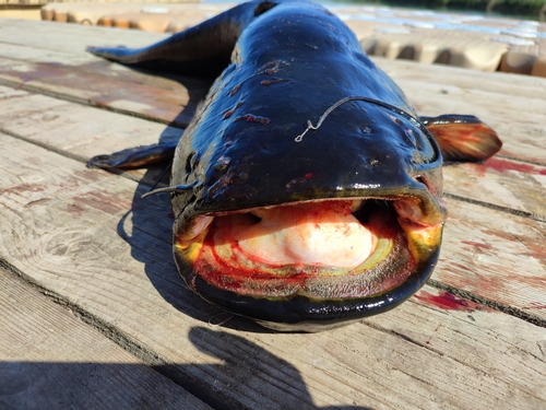 Всё самое свежее и интересное на Facebook и Instagram