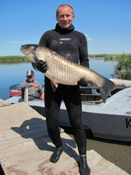 Василий и амур на 18 кг