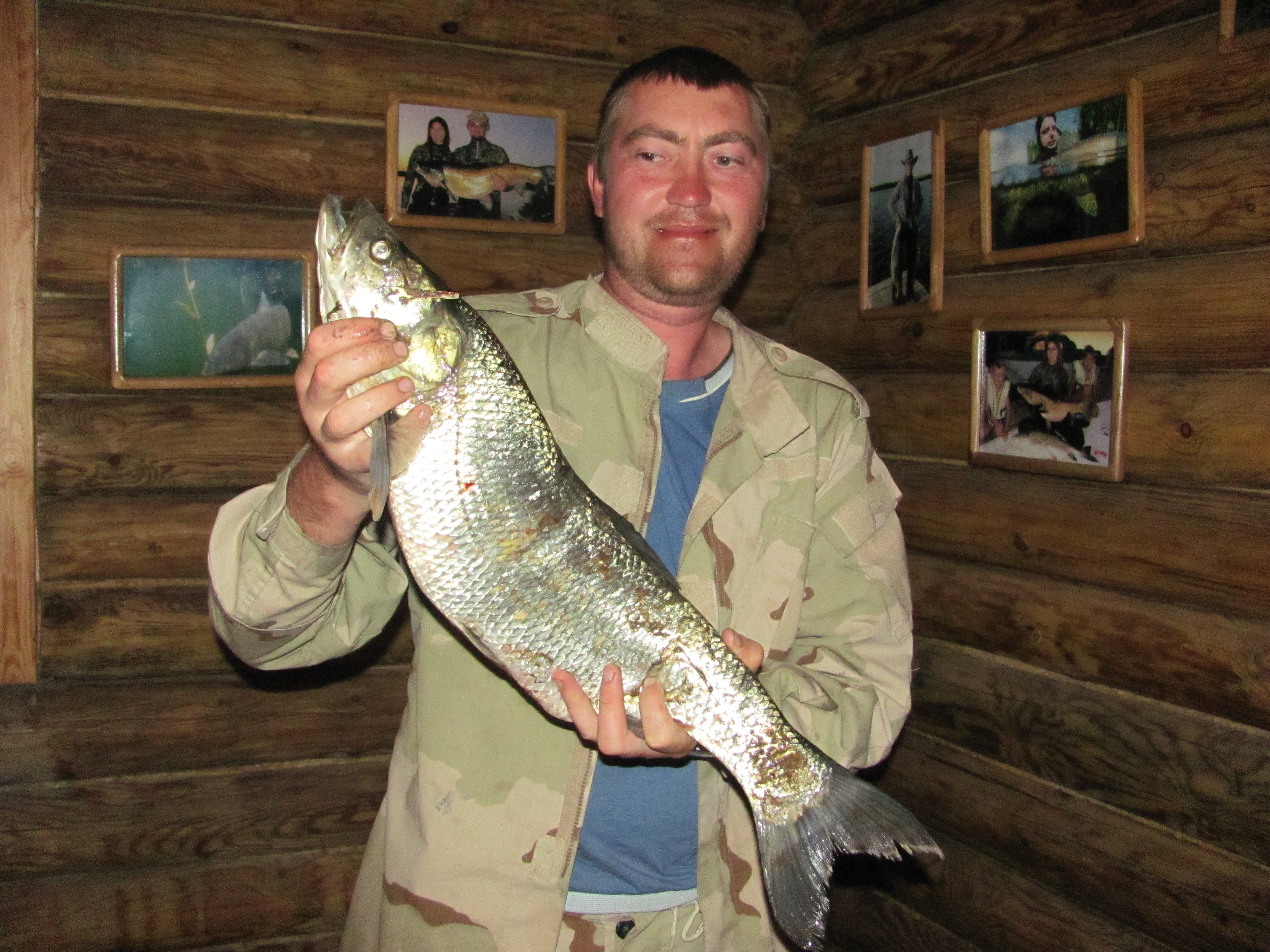 Марат и жерех 3 кг