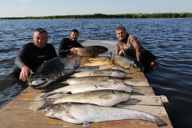 Славная была охота