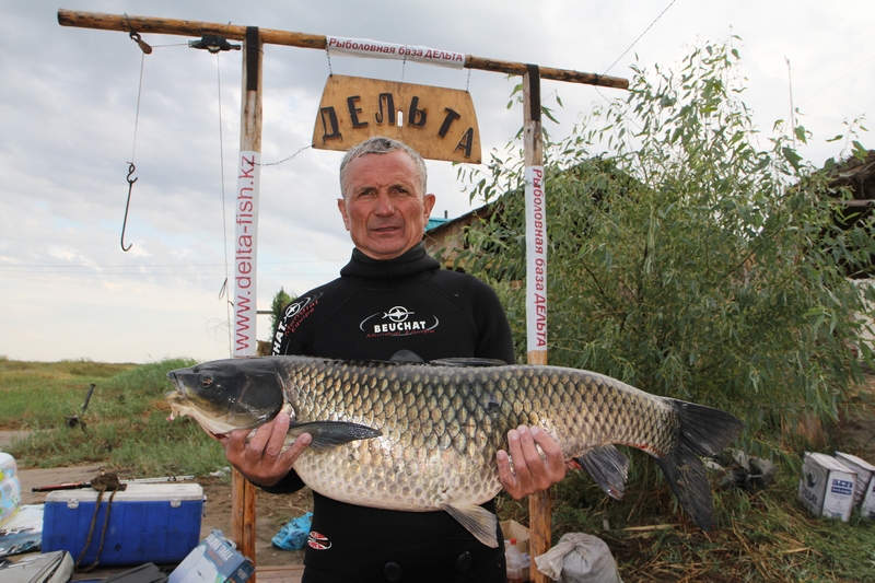 Амурятники как всегда на высоте.