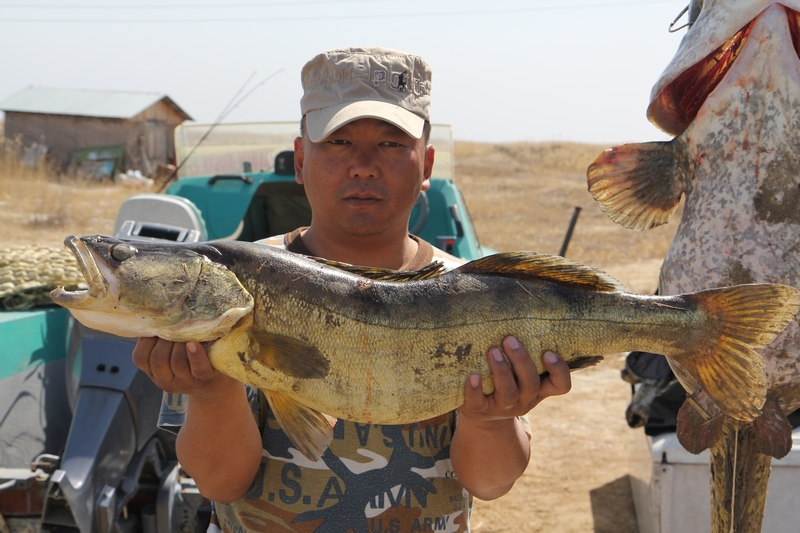 Москва-Питер-Ташкент