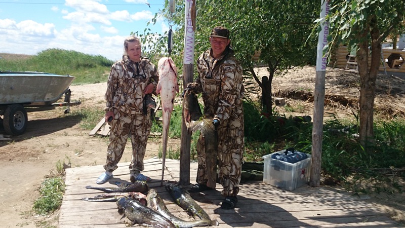 Июньский клёв сома!