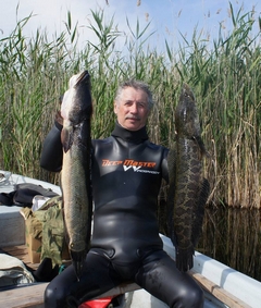 Виноградов В. И. 2016г База Дельта