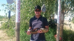 Змееголов на спиннинг